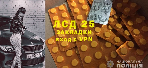 СК Сосновый Бор